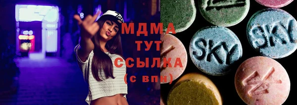 индика Алексин
