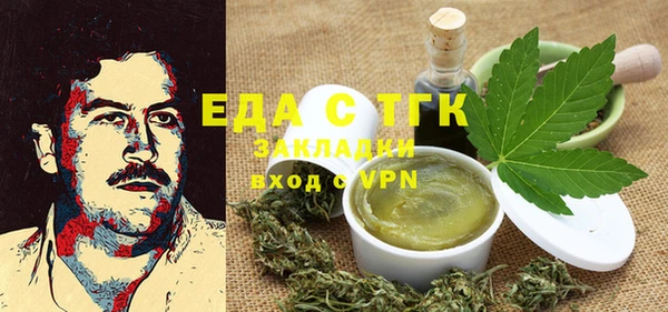 индика Алексин