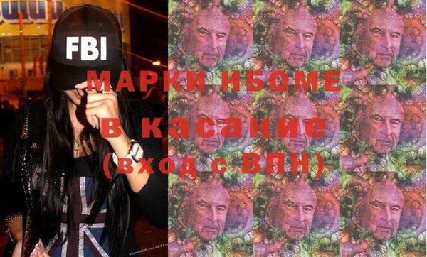 индика Алексин