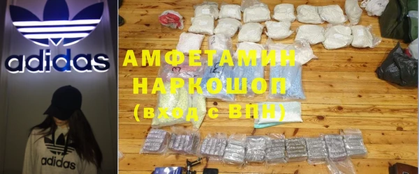индика Алексин