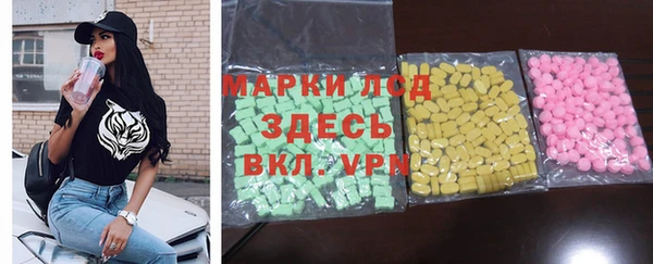 индика Алексин