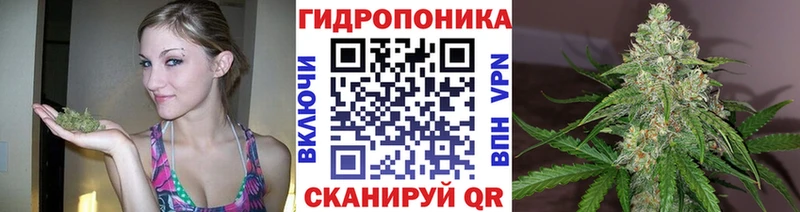 Марихуана Amnesia  где продают   omg ТОР  Красноуральск 